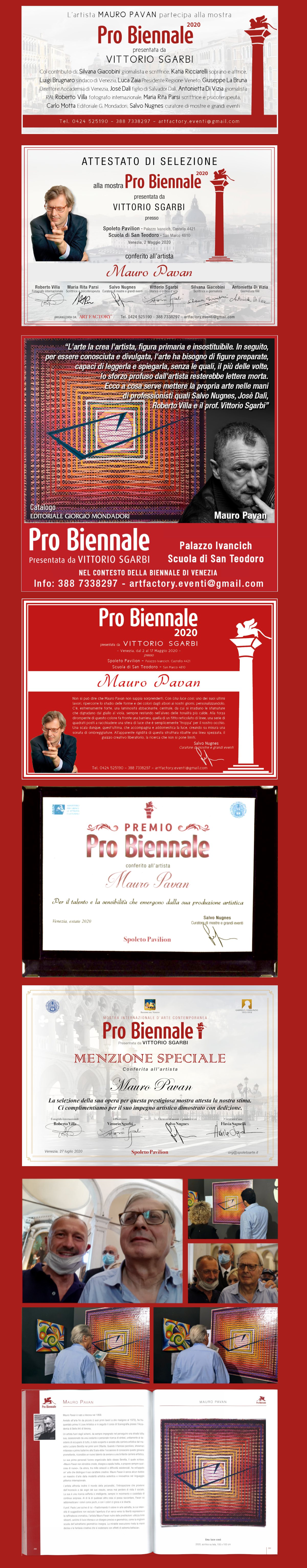 PRO BIENNALE 2020